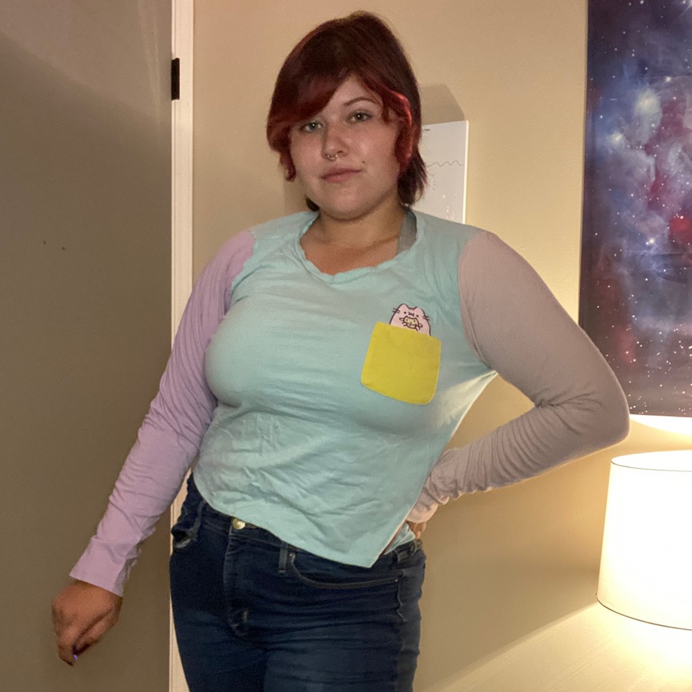 Colorblocked Pusheen long sleeve midi crop top